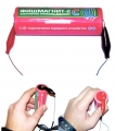 Des poissons-appâts électronique FishMagnet-2 Super Sound
