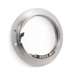 Nikon Lens pour Canon EOS AF-confirmation adaptateur
